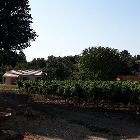 La Petite Maison Dans Les Vignes Chamaret Kültér fotó
