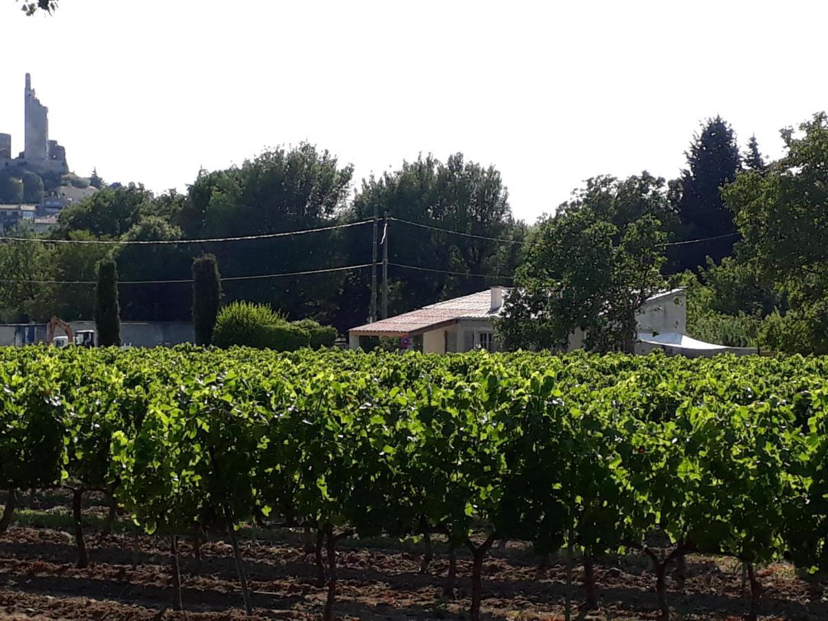 La Petite Maison Dans Les Vignes Chamaret Kültér fotó